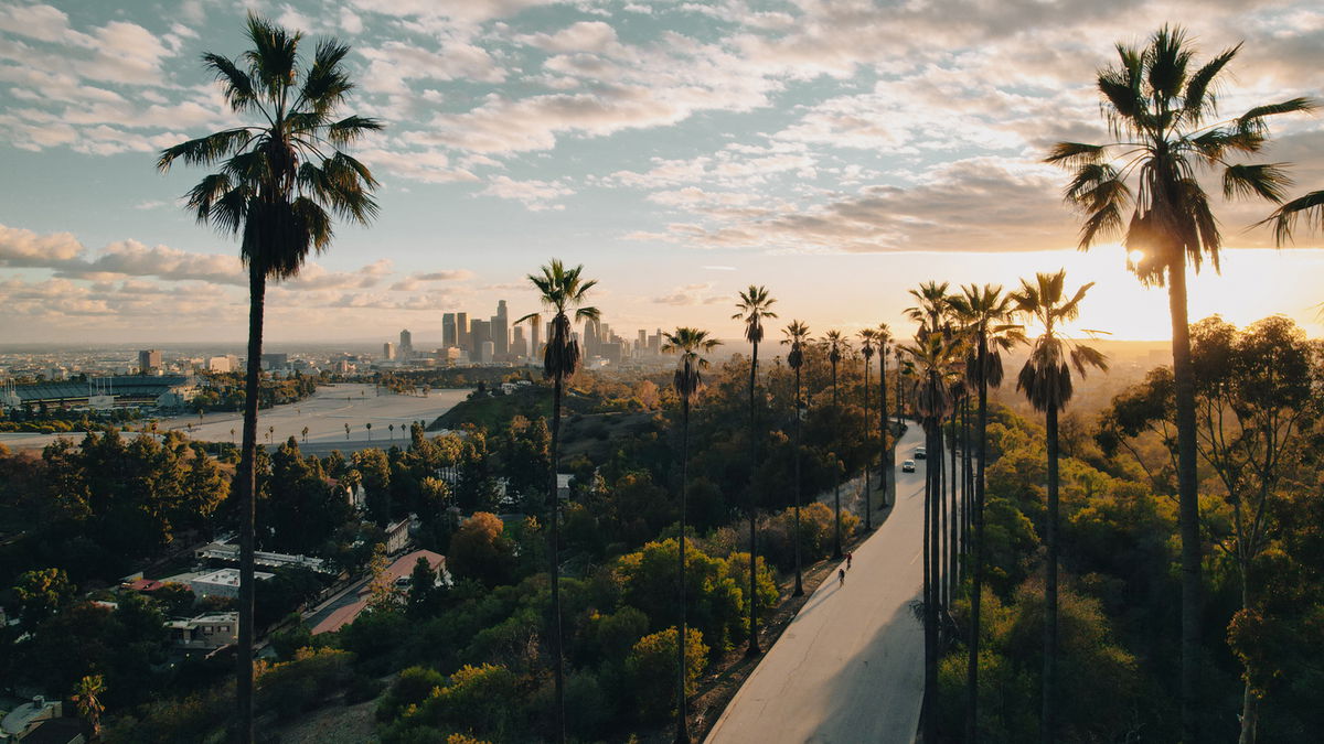 Fleet parking in Los Angeles